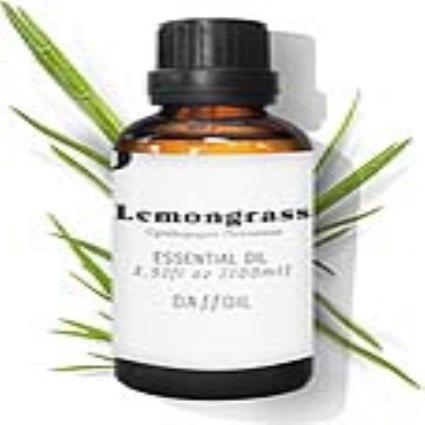 Óleo Essencial  Lemongrass (100 ml)