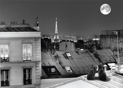 Imagem LUA PARIS