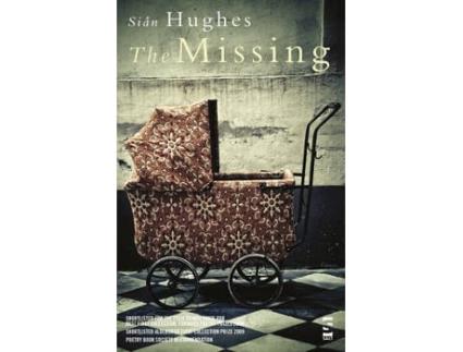 Livro the missing de sian hughes (inglês)