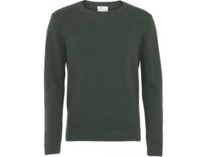 Camisola Unissexo COLORFUL STANDARD (M - Lã - Verde)