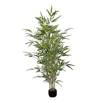 Planta Bambu JOM 2361900000001