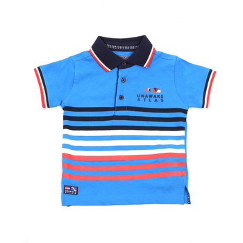 Polos mangas curta 015-1037AL  Azul Disponível em tamanho para rapaz 18 / 24 meses,5 anos,6 anos.Criança > Menino > Roupas > Polos