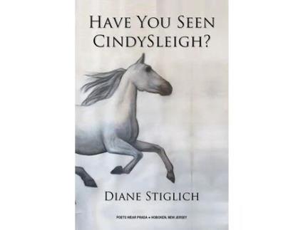 Livro Have You Seen Cindysleigh? de Diane Stiglich ( Inglês )