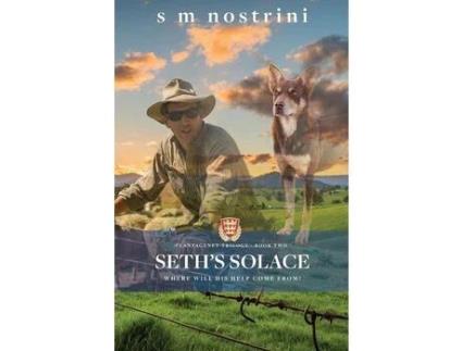 Livro Seth'S Solace de S Nostrini ( Inglês )