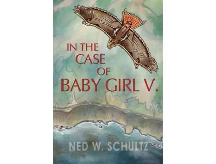 Livro In The Case Of Baby Girl V.: A Novel de Ned W. Schultz ( Inglês )