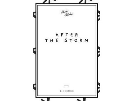 Livro After The Storm de T. S. Arthur ( Inglês )