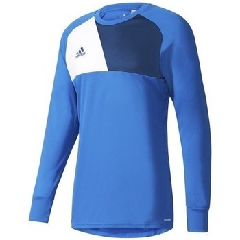 T-shirt mangas compridas Assita 17 GK Junior  Azul Disponível em tamanho para rapaz EU S,EU M,EU L.Criança > Menino > Roupas > T-shirt mangas compridas