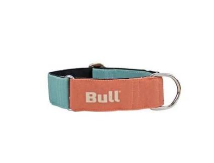 Coleira Greyhound Laranja-Turquesa 30-50 Cm BULL