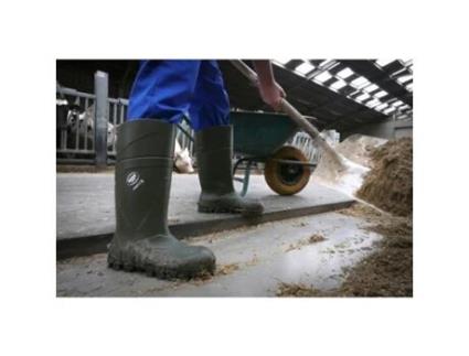 Botas de Unissexo BEKINA Segurança Steplite Solidgrip Verde (36)