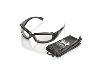 Óculos de Protecção para Motos GLOBAL VISION Straycat 24