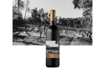 Vinho Tinto Doc Reserva 2015 BAIRRADA