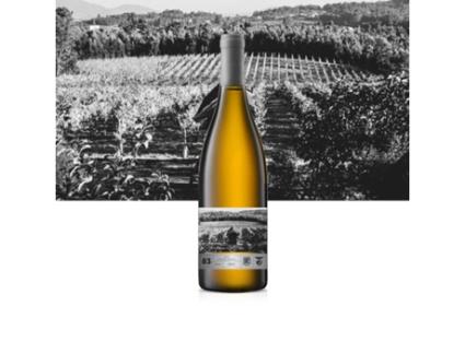 Vinho Branco Reserva 2019 Vinhos Verdes