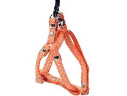 Arnês de Baud para cães em Nylon ALTER EGO: A Escolha dos Animais Ativos ALTER EGO Laranja 35 a 45 x L. 1.5