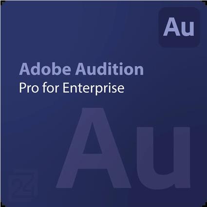 Adobe Audition - Pro for Enterprise 1 - 9 Utilizador(es)