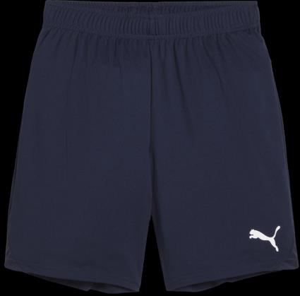 Calções Puma teamGOAL Shorts Jr
