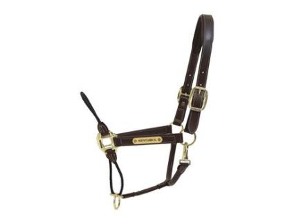 Cabresto de Couro para Cavalos KENTUCKY Rope