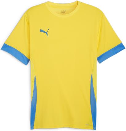 Camisa Puma teamGOAL Matchday Jersey