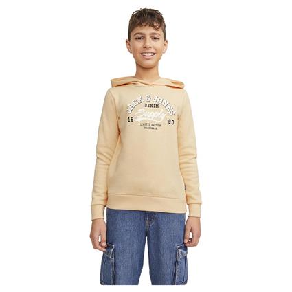 Jack & Jones Logo 2 Col 24 Hoodie Laranja 12 Years Rapaz
