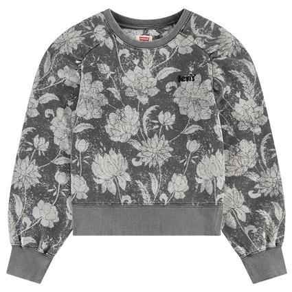 Levi´s ® Kids Discharge Meet&greet Sweatshirt Cinzento 8 Years Menina