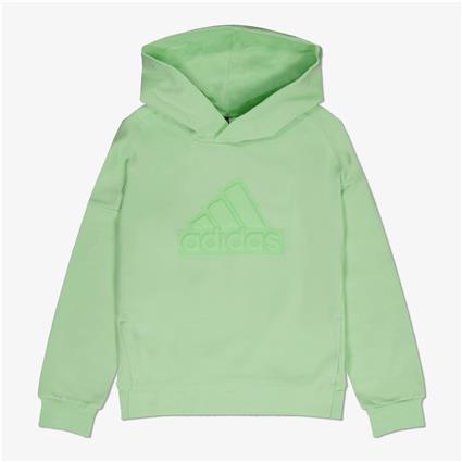 Adidas Future Icons Logo Hoodie Verde 13-14 Years Rapaz