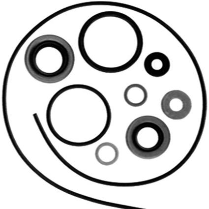 Sierra Je Gear Hsg Seal Kit 47-2684 Prateado