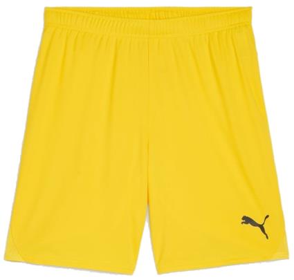 Calções Puma teamGOAL Short