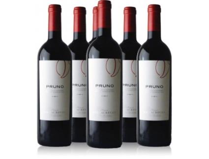 Pack 6 Garrafas Pruno 2019 GRUPO ARTEVINO