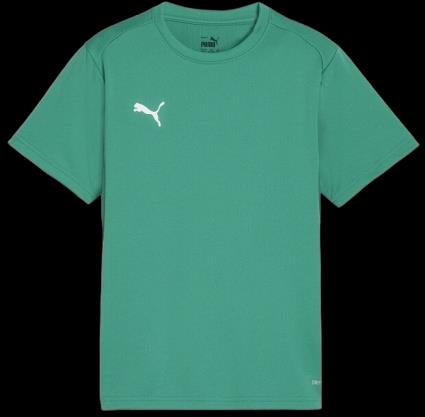 T-shirt Puma  teamGOAL T-Shirt