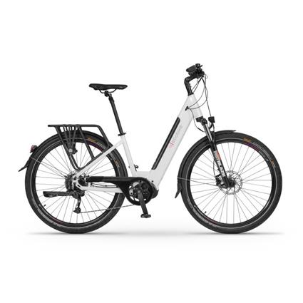 Ecobike LX300