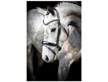 Cabeçadas de Couro Vegan MONTAR Normandie Deluxe Eco