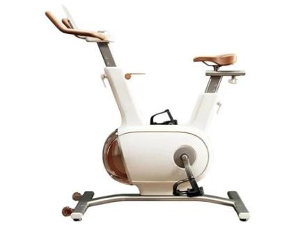 Bicicleta Indoor Sophy W1 CLOVER FITNESS