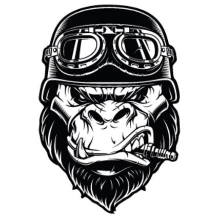 Decor resin 3d macaco biker
