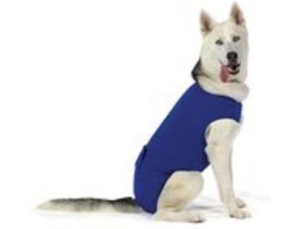 Roupa para cães  Recova