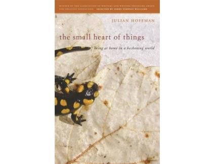 Livro the small heart of things de julian hoffman (inglês)