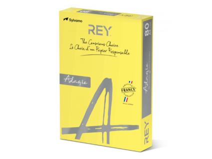 Papel REY Adagio A4 80gr/m2 1 Caixa = 5 resmas - Amarelo Intenso