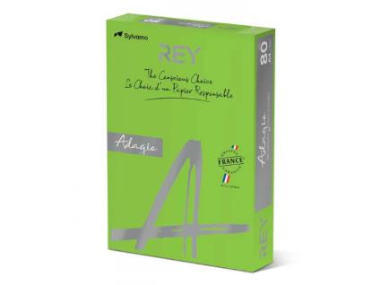 Papel REY Adagio A4 80gr/m2 1 Caixa = 5 resmas - Verde