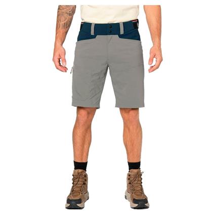 Elevenate Summit Shorts Cinzento L Homem