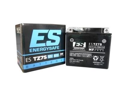 Energysafe Estz7-s Sealed Lead Acid-flooded Battery Prateado