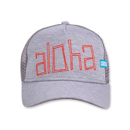 Coastal Aloha Jersey Cap Cinzento  Homem