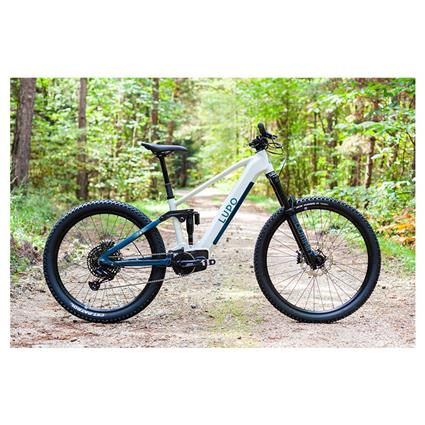 Lupo Artiglio X 29/27.5´´ Gx Eagle 2024 Mtb Electric Bike Prateado M / 725Wh