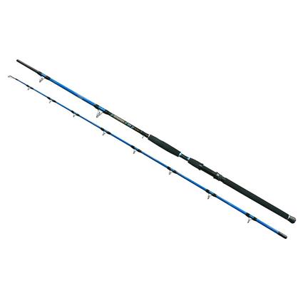 Wizard Cat Pro Power Catfish Rod  3.00 m / 600-800 g