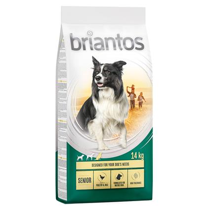 Briantos Sénior com aves e arroz - 14 kg