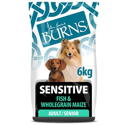 Burns Adult & Senior Sensitive com peixe e milho integral - 6 kg