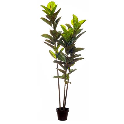 Planta artificial 'Rubber Tree' 180cm, BORGHESI, Borghesi