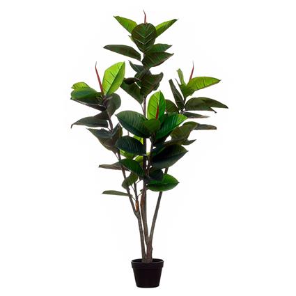 Planta artificial 'Rubber Tree' 150cm, BORGHESI, Borghesi