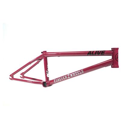 Alive Industry Ftw Bmx Frame Prateado 20.75´´