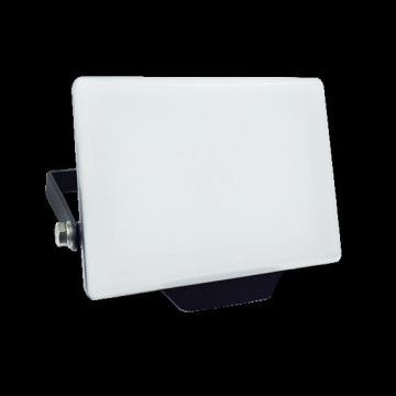 LUZ PROJETOR SANZ PRATA IP65 20W 6500K 173302