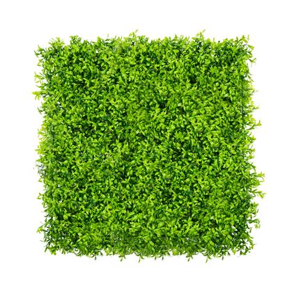 Jardim Vertical Estragon