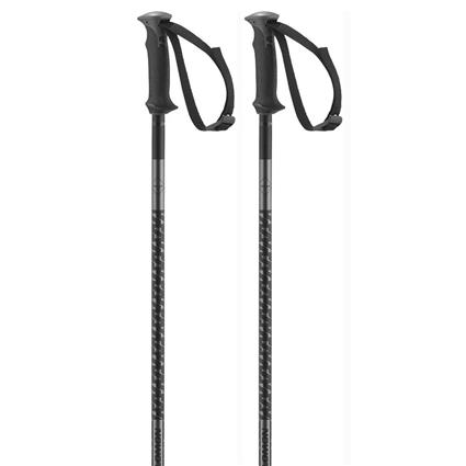 Salomon Polar Poles Prateado 110 cm