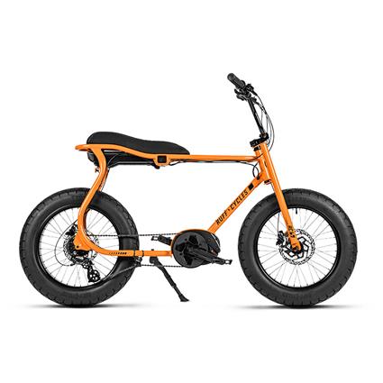 Ruff Cycles Lil Buddy E1971 Bosch Al Electric Bike  One Size / 300Wh